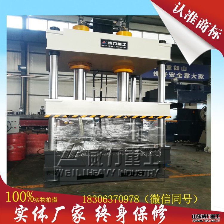 315噸大臺(tái)面雙缸液壓機(jī)